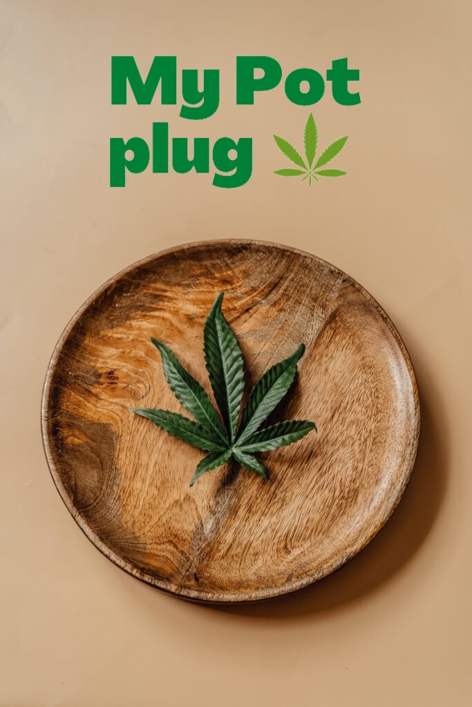 <p>Best Place to Buy Weed Online</p>